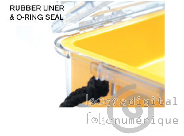 1060-025-100E Micro-Clear Protective Case-Black