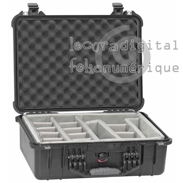 1520-004-110 Protective Case Black with dividers
