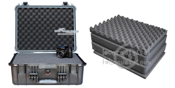 1550-004-110 Protective Case Black with dividers